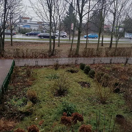 Apartament Terebelska P Biała Podlaska Exterior foto