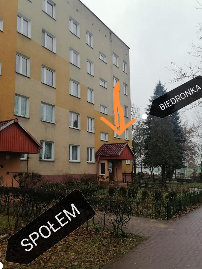 Apartment Terebelska P